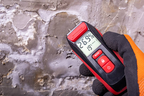 Best Mold Testing  in Huntington Beach, CA