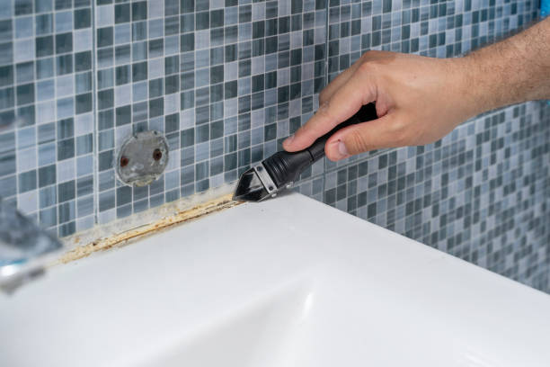 Reliable Huntington Beach, CA Mold Removal Solutions