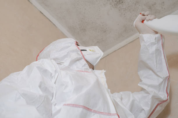 Best Fast Mold Removal  in Huntington Beach, CA
